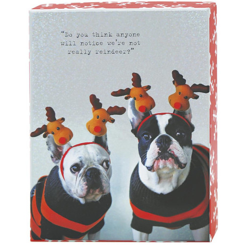 Dogs with Reindeer Ear Warmers Box of 20 Assorted Funny Christmas Notecards: Design 1: Do you think anyone will notice we're not really reindeer? - Design 3: Dear Santa, Don't bring anymore yarn for Christmas, we have plenty. - Design 4: Psst. Tell Santa I was a good boy.