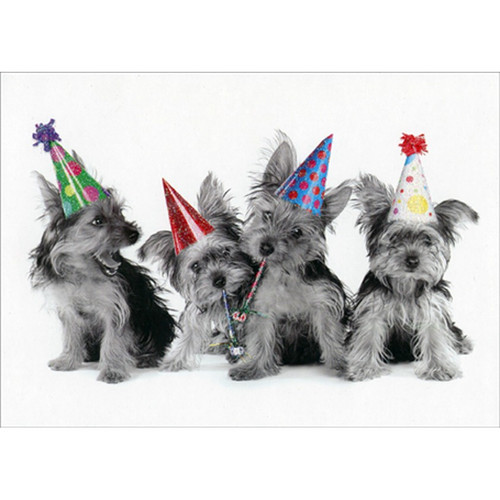 Yorkie Puppies Wearing Party Hats Cute Funny / Humorous Dog Birthday Card