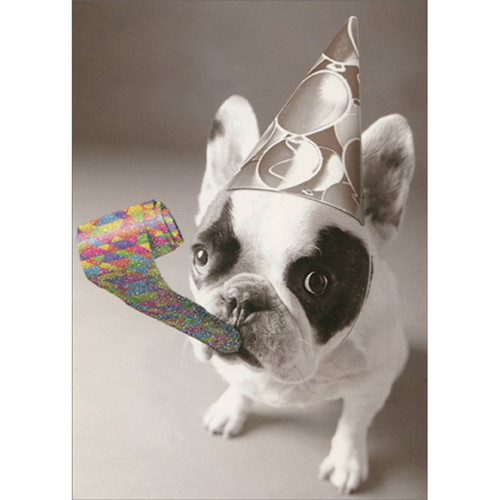 Bulldog Wearing Hat and Blowing Party Horn Funny / Humorous Dog Birthday Card