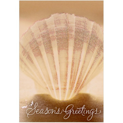 Shell on Sand Box of 16 Christmas Cards: Season's Greetings