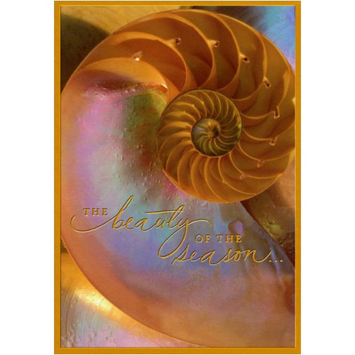 Gold Shell Warm Weather Christmas Card: The beauty of the season…