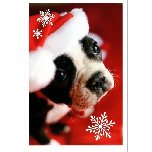 Boxer in Santa Hat Christmas Card