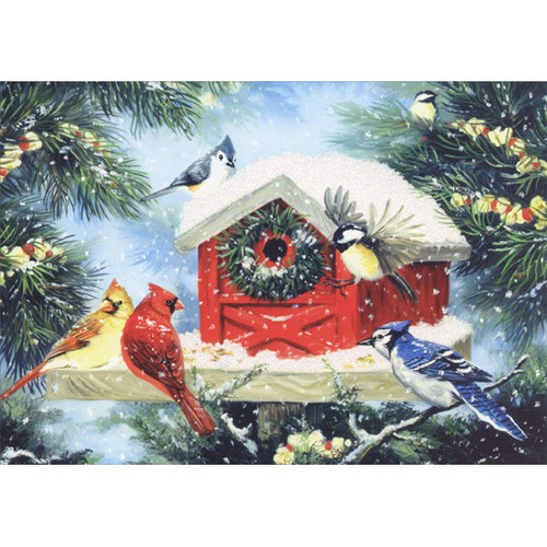 Christmas Bird Feeder Box of 14 Christmas Cards