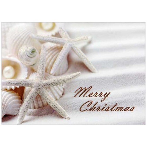 White Starfish and Shells Box of 14 Tropical Christmas Cards: Merry Christmas