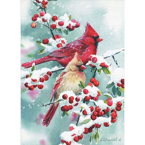 Winter Jewels Cardinals: Susan Bourdet Box of 18 Christmas Cards