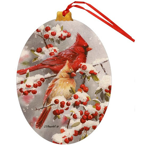 Winter Jewels Cardinals Keepsake Ornament Box of 12 Christmas Cards