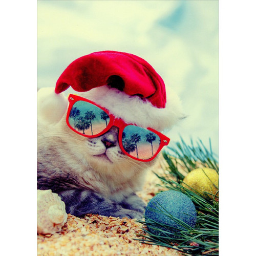 Cool Cat with Santa Hat and Red Sunglasses on Beach Christmas Card