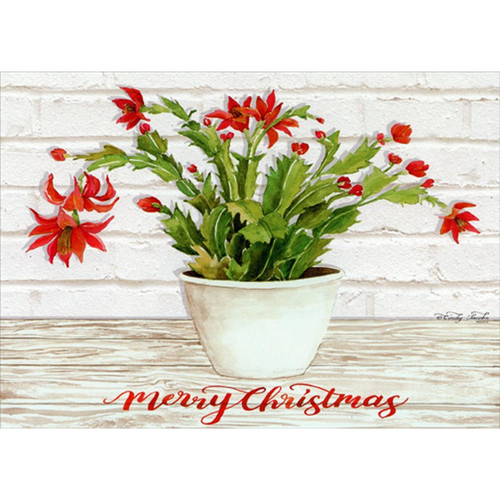 Christmas Cactus with Red Flowers Warm Weather Christmas Card: Merry Christmas