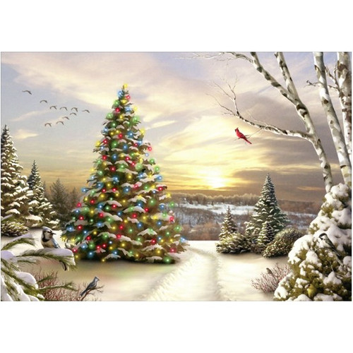 Christmas Morning Evergreen Alan Giana Christmas Card