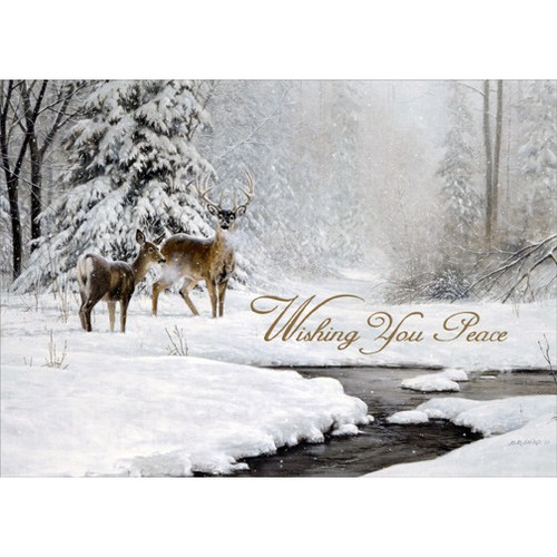 Deer and Stream in Winter Nature Christmas Card: Wishing You Peace