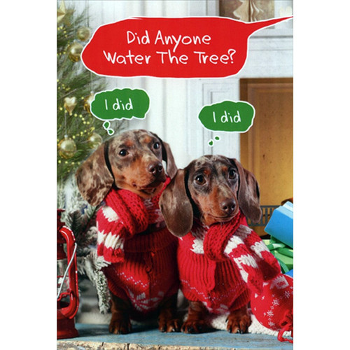 Watering The Tree : 2 Wiener Dogs in Scarves Box of 12 Funny / Humorous Christmas Cards: Did anyone water the tree? I did. I did.