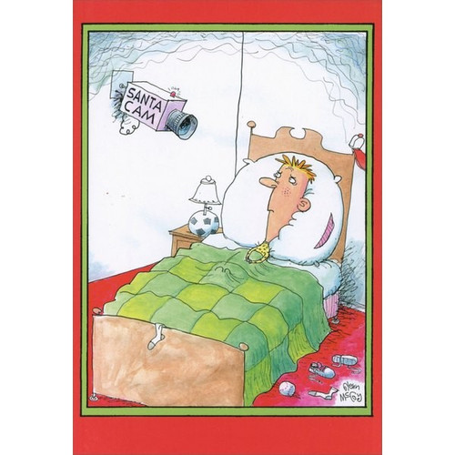 Santa Cam Box of 12 Funny / Humorous Christmas Cards: SANTA CAM