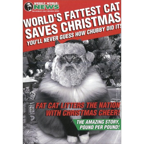 World's Fattest Cat Box of 12 Funny / Humorous Christmas Cards: Weekly World News  The World's Only Reliable News  World's Fattest Cat Saves Christmas  You'll Never Guess How Chubby Did It!  Fat Cat Litters the Nation with Christmas Cheer!  The Amazing Story, Pound per Pound!