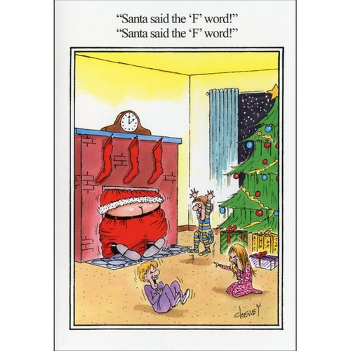 Santa Said F Word Box of 12 Funny / Humorous Christmas Cards: Santa said the F word! Santa said the F word!