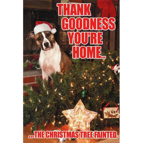 Tree Fainted Dog Box of 12 Funny Christmas Cards: Thank goodness you're home…  …the Christmas tree fainted.