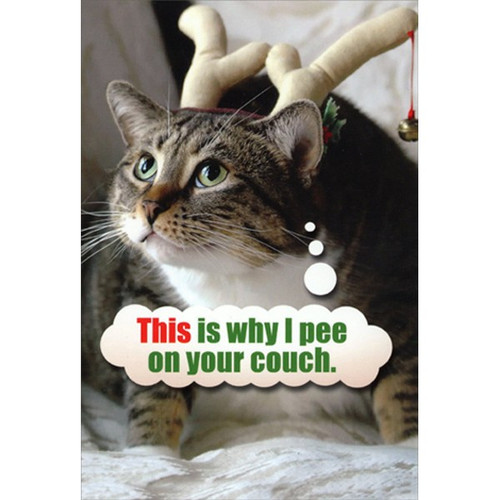 Pee On Couch Cat Box of 12 Humorous / Funny Christmas Cards: This is why I pee on your couch.