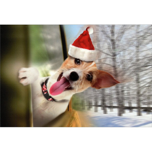 Jack Russell Terrier in Car Window Box of 12 Cute Dog Christmas Cards