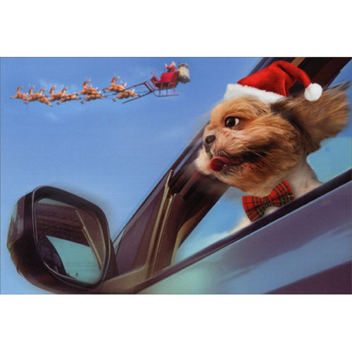 Terrier Looking at Santa from Car Window Box of 12 Cute Dog Christmas Cards