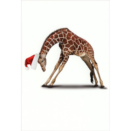 Zoo Yoga Giraffe Box of 12 Humorous / Funny Christmas Cards