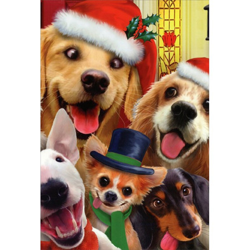 Dogs Making Silly Faces Howard Robinson Box of 12 Humorous / Funny Christmas Cards