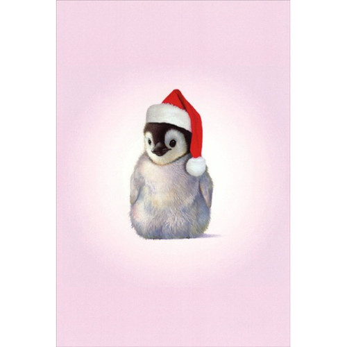 Zoo Babies Penguin John Butler Box of 12 Cute Christmas Cards