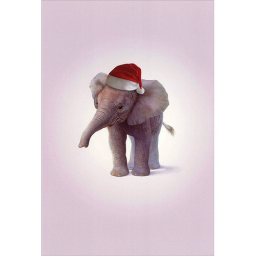 Zoo Babies Elephant John Butler Box of 12 Cute Christmas Cards