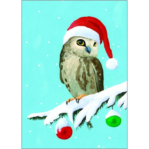 Owl Box of 15 Christmas Cards