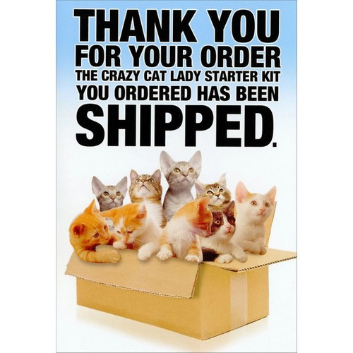 Crazy Cat Lady Starter Kit Funny / Humorous Birthday Card: Thank you for your order - The crazy cat lady starter kit you ordered has been shipped.