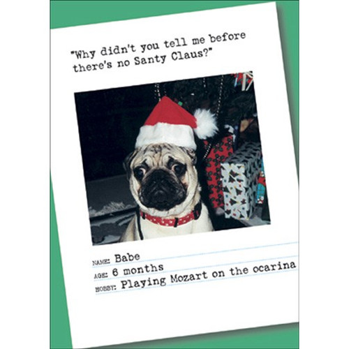 No Santa Claus Bad Dog Funny / Humorous Christmas Card: “Why didn't you tell me before there's no Santy Claus?”  Name: Babe  Age: 6 months  Hobby: Playing Mozart on the ocarina