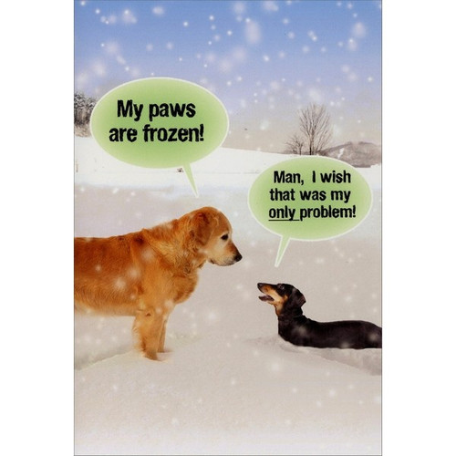 Paws are Frozen Funny Dog Christmas Card: My paws are frozen! Man, I wish that was my only problem!
