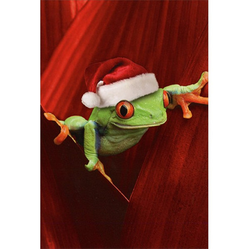 Frog with Santa Hat Cute Christmas Card