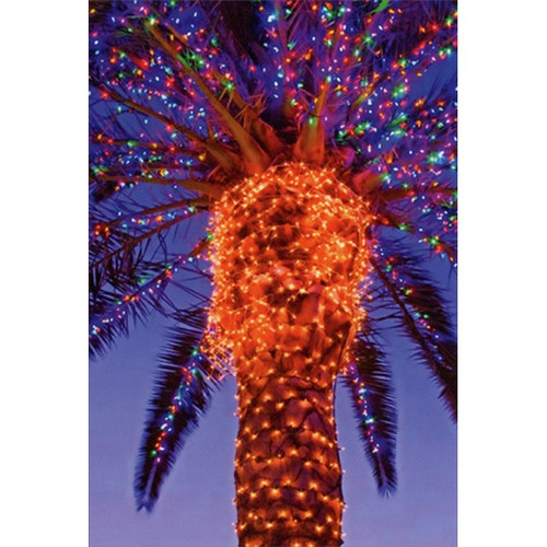 Palm Tree with Multi Colored Lights Christmas Card