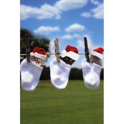 Three Kittens in Socks on Clothesline Cute Christmas Card