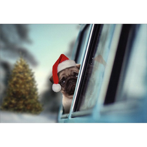 Pug Looking Out Car Window Cute Dog Christmas Card