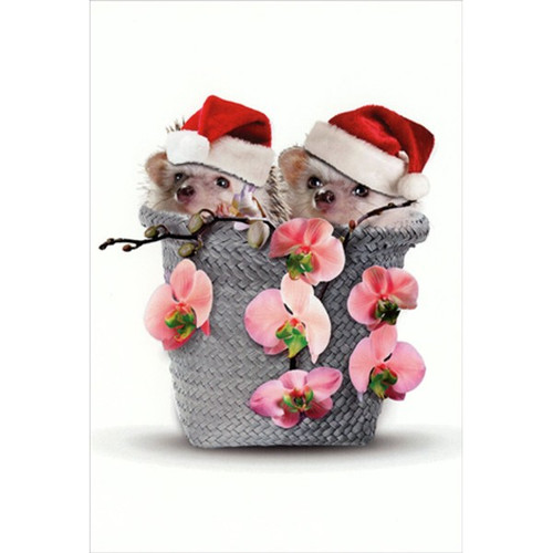 Hedgehogs in Basket Cute Christmas Card