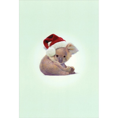 Zoo Babies Koala Bear John Butler Cute Christmas Card