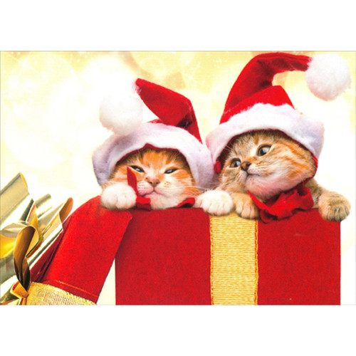 Two Santa Kittens : Red and Gold Gift Box Cute Cat Box of 12 Christmas Cards