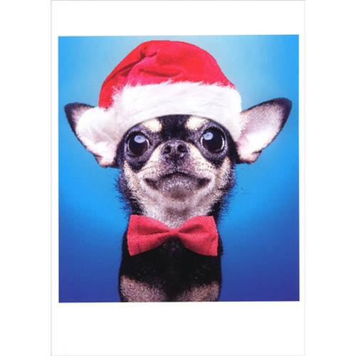 Black Dog with Red Bow Tie and Santa Hat Cute Box of 12 Christmas Cards