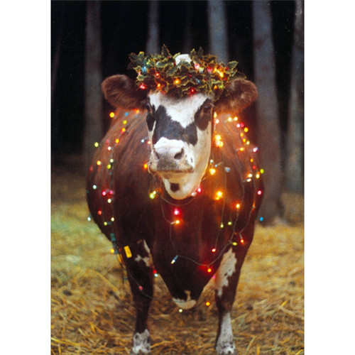 Cow Wrapped in Light String Funny / Humorous Christmas Card