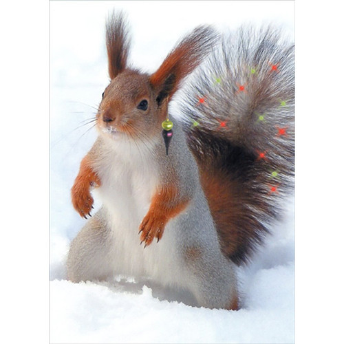 Squirrel with Shocked Tail Funny / Humorous Christmas Card