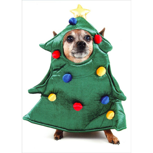 Dog Wearing Puffy Christmas Tree Costume Funny / Humorous Christmas Card