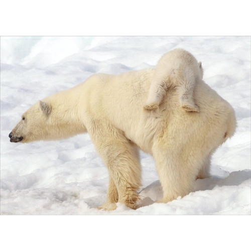 Cub Riding on Polar Bear Back Cute Christmas Card