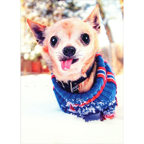 Puppy in Blue Sweater Catching Snowflakes Funny / Humorous Dog Christmas Card