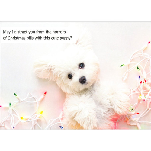 Distract You : Cute White Puppy : Light String Dog Themed Christmas Card: May I distract you from the horrors of Christmas bills with this cute puppy?