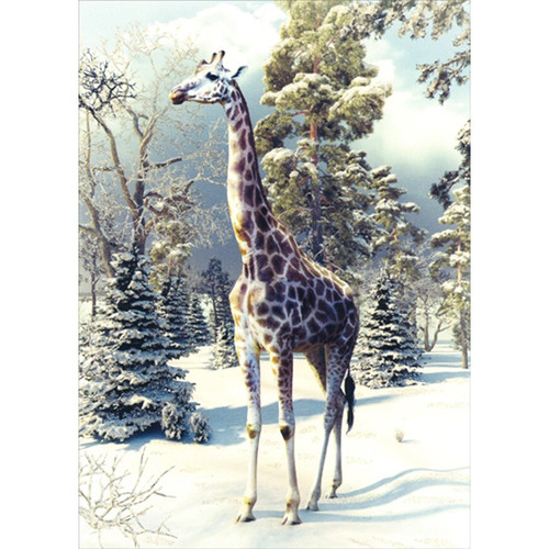 Giraffe Walking : Snow Covered Trees Christmas Card