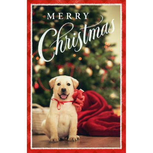 Golden Retriever Puppy : Red Bow on Neck Cute Dog Christmas Card: Merry Christmas