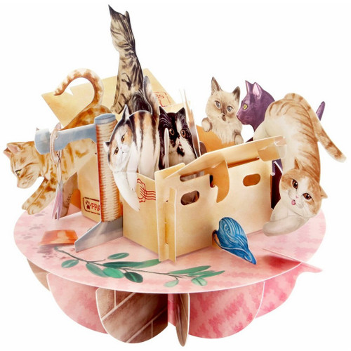 Purrfect Parcel : Cats Playing in Boxes Santoro Pirouettes 3D Pop Up Keepsake Greeting Card
