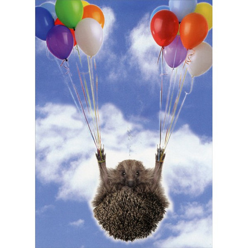Hedgehog Holding Balloons Funny Birthday Card