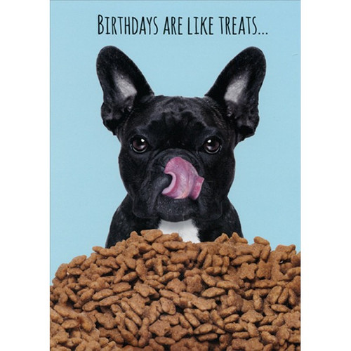 Dog With Birthday Treats Funny 90th Birthday Card: Birthdays are like treats…