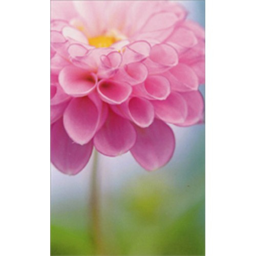 Pink Flower Mini Blank Gift Enclosure Card